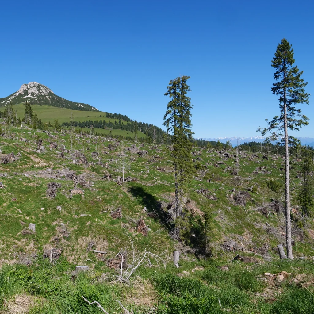 Val di Fiemme