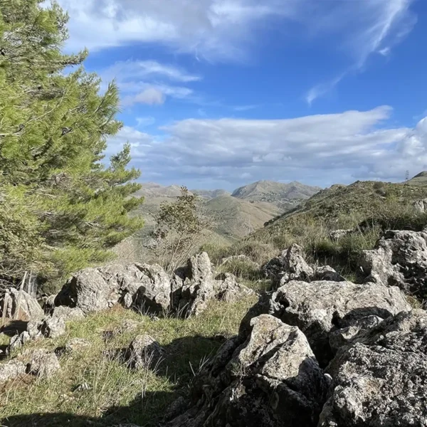 Bosco dei Sette Cieli