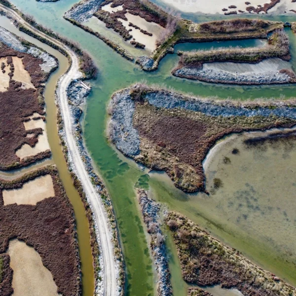Lio Piccolo, Venice lagoon